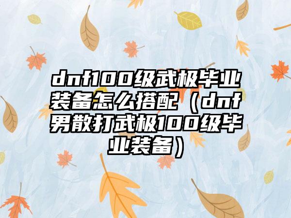 dnf100级武极毕业装备怎么搭配（dnf男散打武极100级毕业装备）