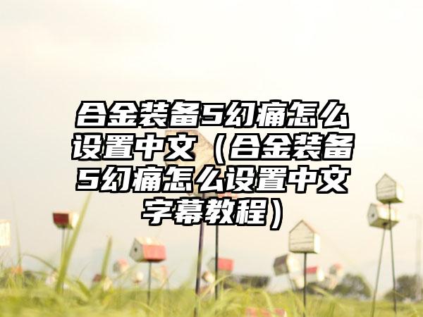 合金装备5幻痛怎么设置中文（合金装备5幻痛怎么设置中文字幕教程）