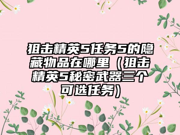 狙击精英5任务5的隐藏物品在哪里（狙击精英5秘密武器三个可选任务）