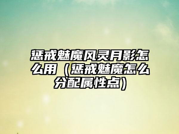 惩戒魅魔风灵月影怎么用（惩戒魅魔怎么分配属性点）
