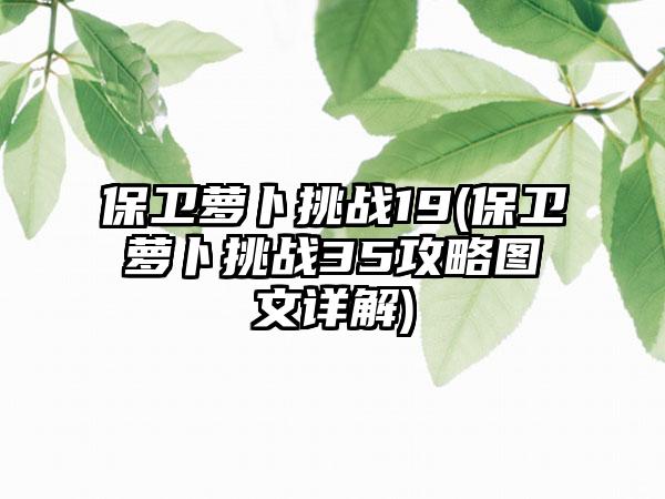 保卫萝卜挑战19(保卫萝卜挑战35攻略图文详解)