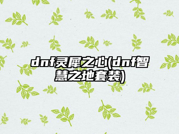dnf灵犀之心(dnf智慧之地套装)