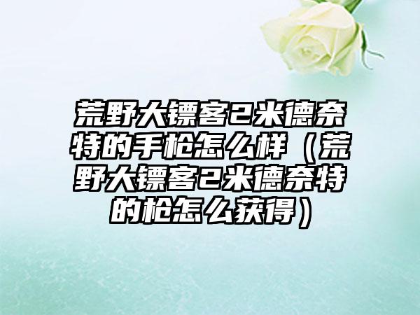 荒野大镖客2米德奈特的手枪怎么样（荒野大镖客2米德奈特的枪怎么获得）