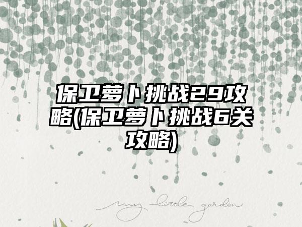 保卫萝卜挑战29攻略(保卫萝卜挑战6关攻略)