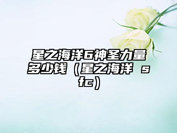 星之海洋6神圣力量多少钱（星之海洋 sfc）