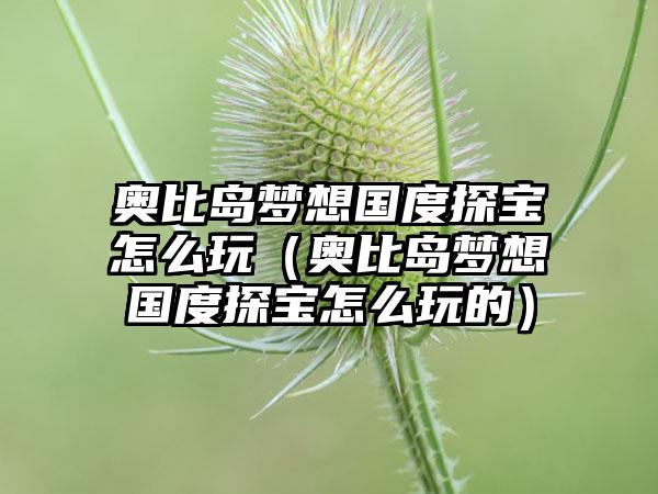 奥比岛梦想国度探宝怎么玩（奥比岛梦想国度探宝怎么玩的）