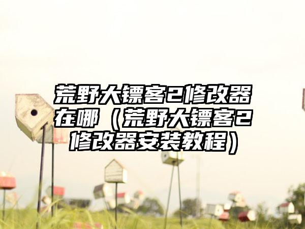 荒野大镖客2修改器在哪（荒野大镖客2修改器安装教程）