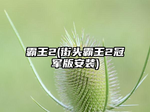 霸王2(街头霸王2冠军版安装)