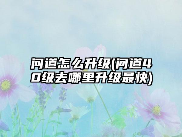 问道怎么升级(问道40级去哪里升级最快)