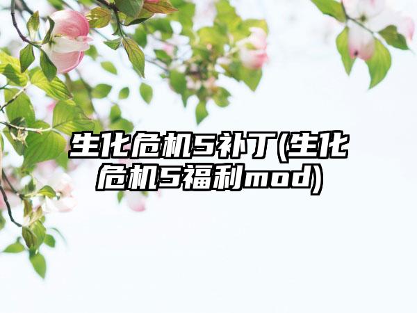 生化危机5补丁(生化危机5福利mod)