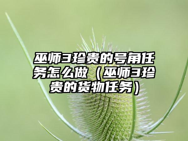 巫师3珍贵的号角任务怎么做（巫师3珍贵的货物任务）