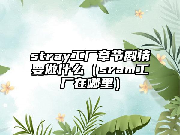 stray工厂章节剧情要做什么（sram工厂在哪里）
