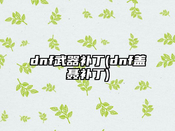 dnf武器补丁(dnf盖聂补丁)