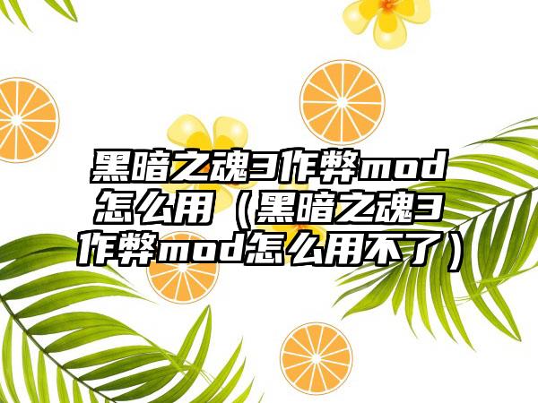 黑暗之魂3作弊mod怎么用（黑暗之魂3作弊mod怎么用不了）