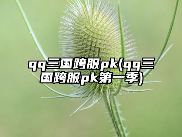 qq三国跨服pk(qq三国跨服pk第一季)