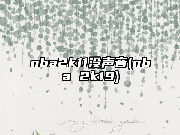 nba2k11没声音(nba 2k19)