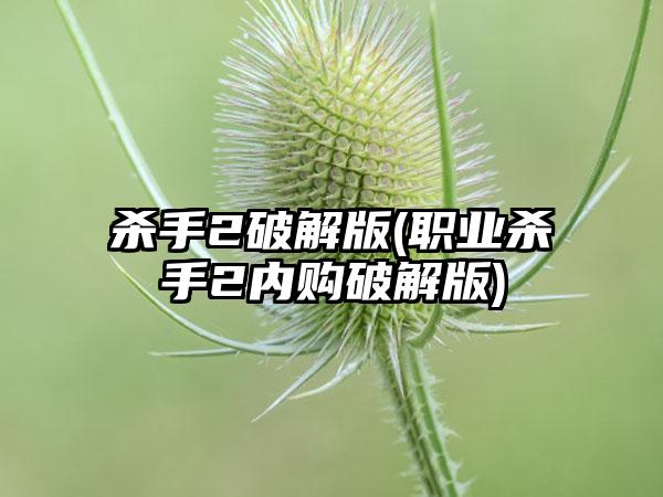 杀手2破解版(职业杀手2内购破解版)