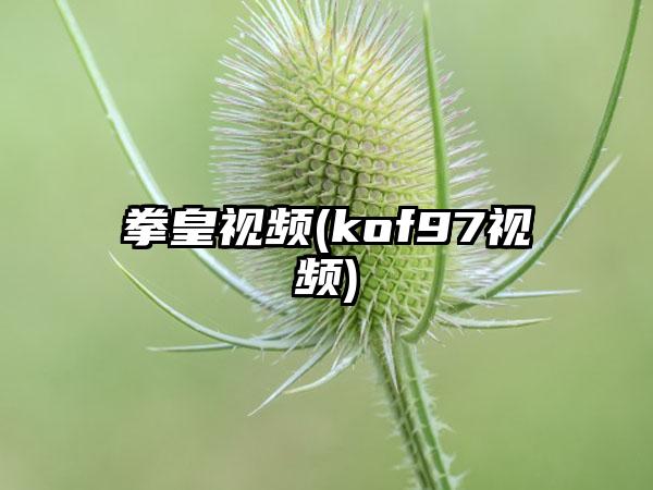 拳皇视频(kof97视频)