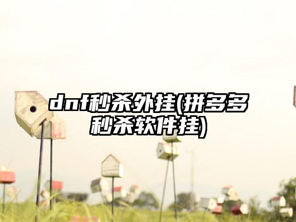 dnf秒杀外挂(拼多多秒杀软件挂)