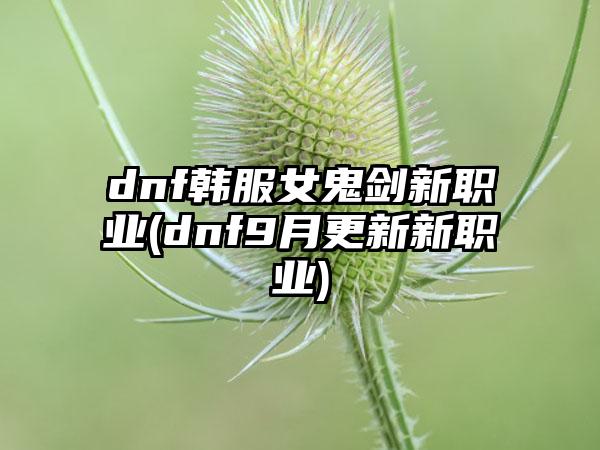 dnf韩服女鬼剑新职业(dnf9月更新新职业)