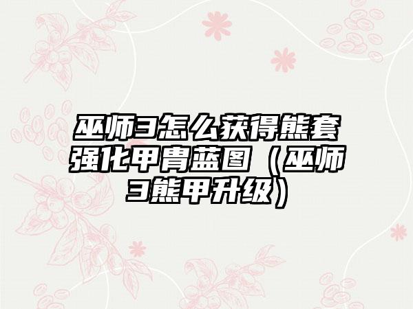 巫师3怎么获得熊套强化甲胄蓝图（巫师3熊甲升级）
