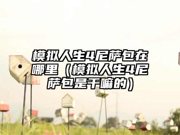 模拟人生4尼萨包在哪里（模拟人生4尼萨包是干嘛的）