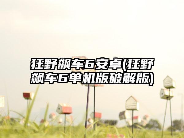 狂野飙车6安卓(狂野飙车6单机版破解版)