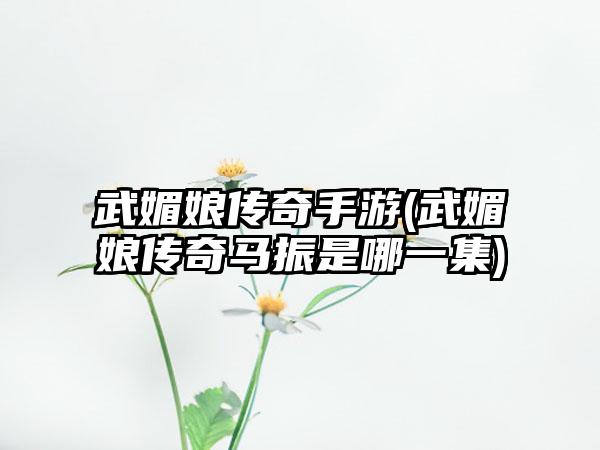 武媚娘传奇手游(武媚娘传奇马振是哪一集)