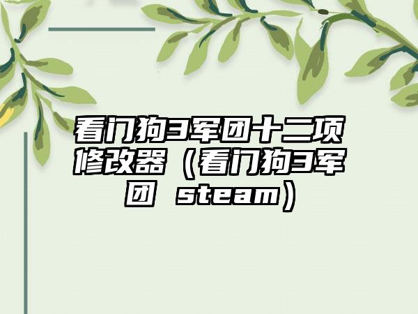 看门狗3军团十二项修改器（看门狗3军团 steam）