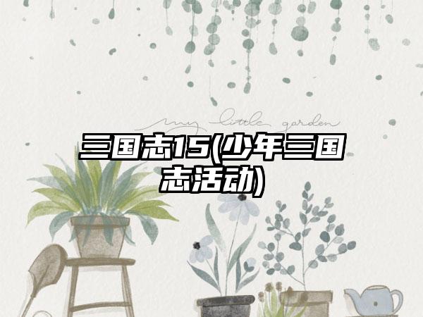 三国志15(少年三国志活动)