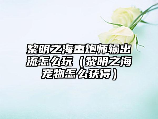 黎明之海重炮师输出流怎么玩（黎明之海宠物怎么获得）