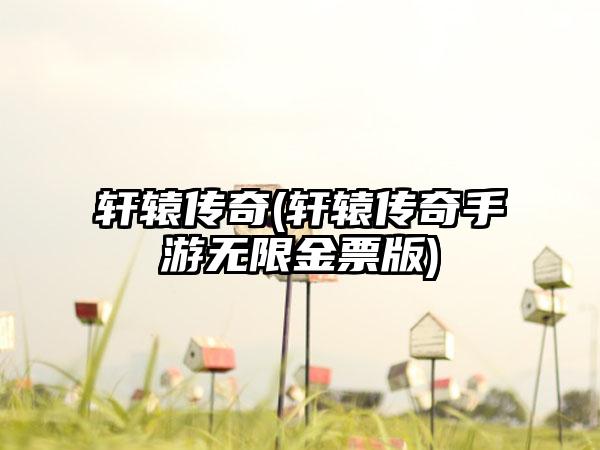 轩辕传奇(轩辕传奇手游无限金票版)