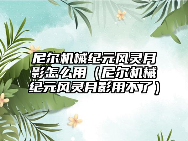 尼尔机械纪元风灵月影怎么用（尼尔机械纪元风灵月影用不了）