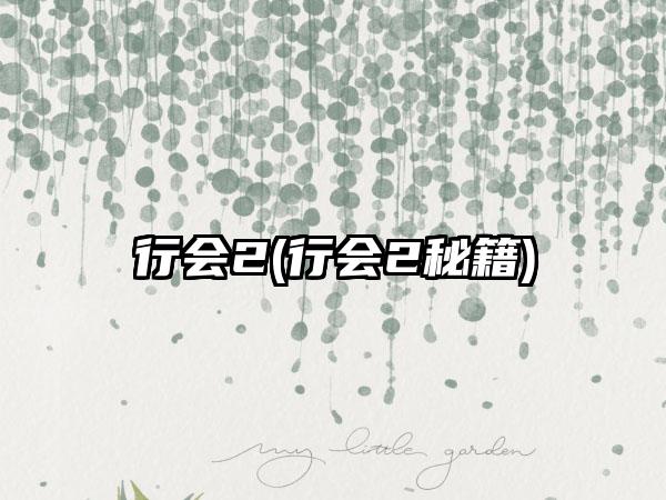 行会2(行会2秘籍)