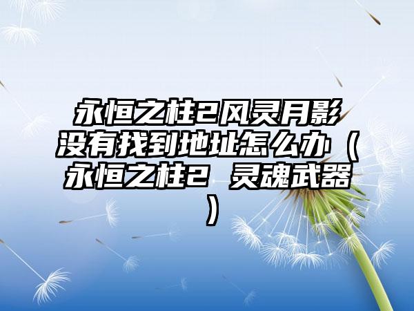 永恒之柱2风灵月影没有找到地址怎么办（永恒之柱2 灵魂武器）