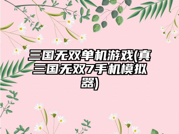 三国无双单机游戏(真三国无双7手机模拟器)