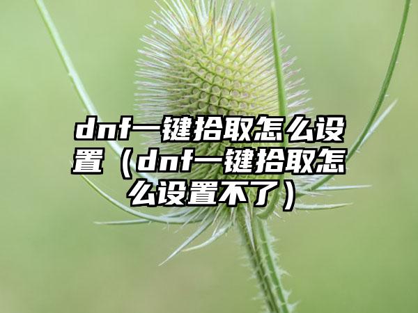 dnf一键拾取怎么设置（dnf一键拾取怎么设置不了）