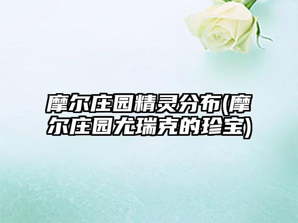 摩尔庄园精灵分布(摩尔庄园尤瑞克的珍宝)