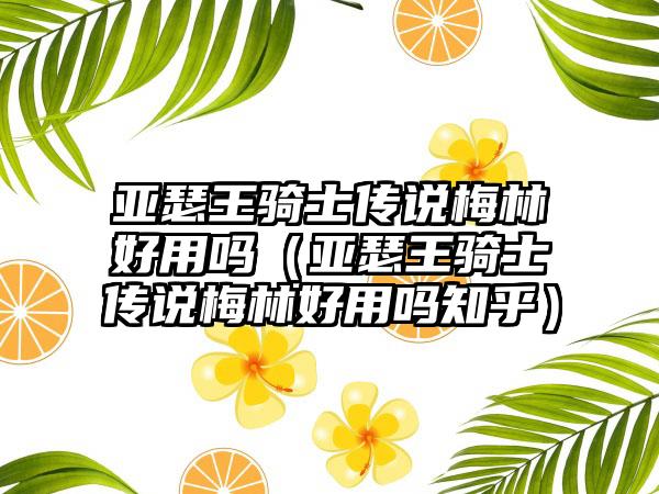 亚瑟王骑士传说梅林好用吗（亚瑟王骑士传说梅林好用吗知乎）