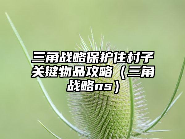 三角战略保护住村子关键物品攻略（三角战略ns）