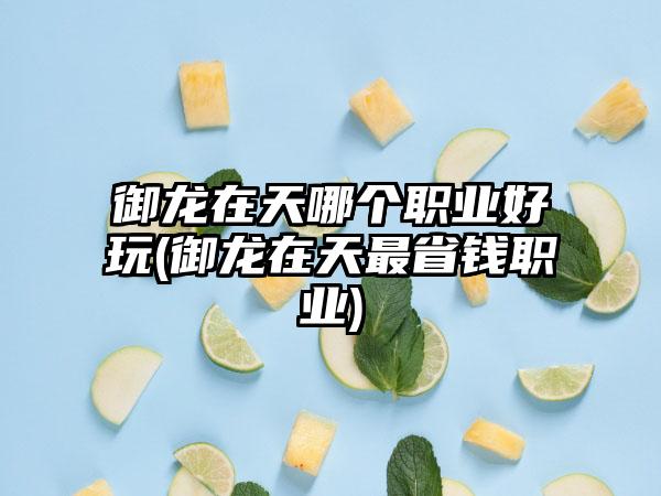御龙在天哪个职业好玩(御龙在天最省钱职业)