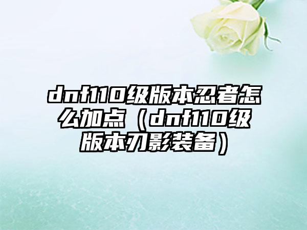 dnf110级版本忍者怎么加点（dnf110级版本刃影装备）