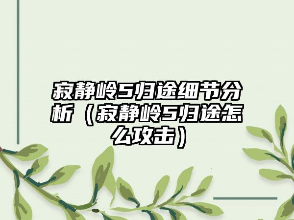 寂静岭5归途细节分析（寂静岭5归途怎么攻击）