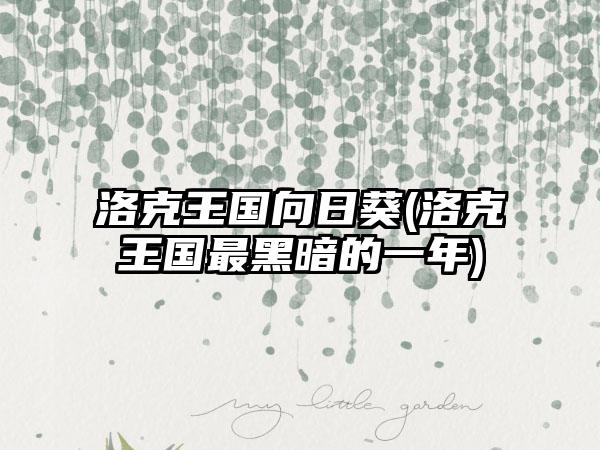 洛克王国向日葵(洛克王国最黑暗的一年)