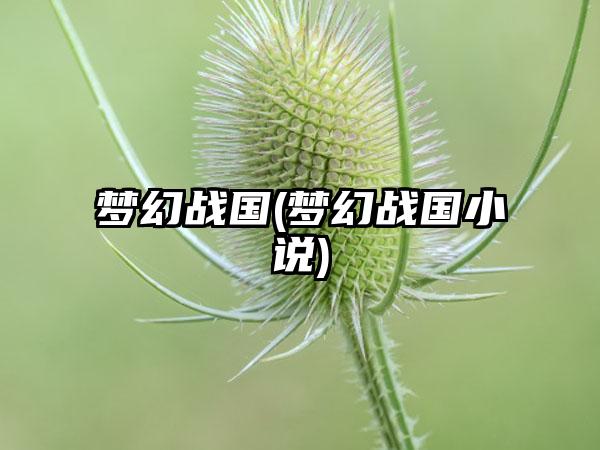 梦幻战国(梦幻战国小说)