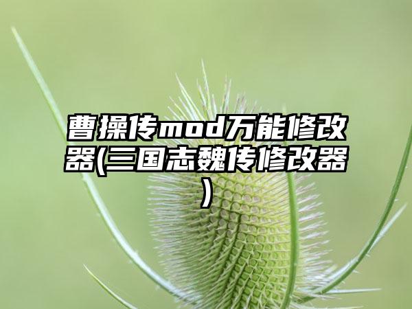 曹操传mod万能修改器(三国志魏传修改器)