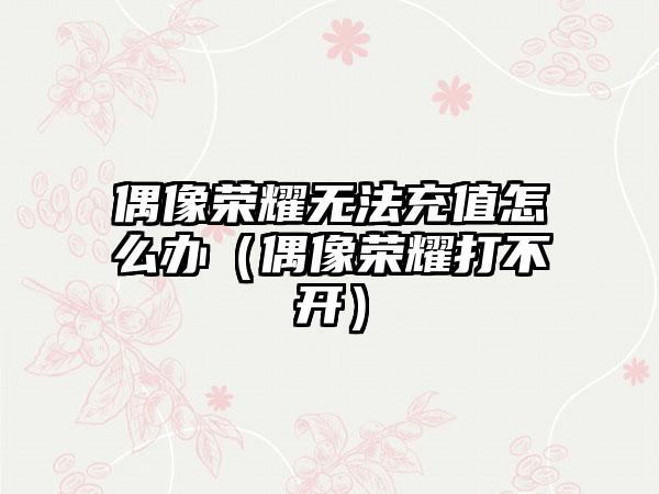 偶像荣耀无法充值怎么办（偶像荣耀打不开）