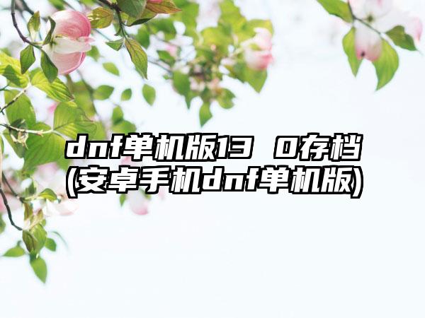 dnf单机版13 0存档(安卓手机dnf单机版)