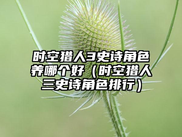 时空猎人3史诗角色养哪个好（时空猎人三史诗角色排行）