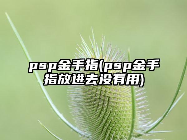 psp金手指(psp金手指放进去没有用)